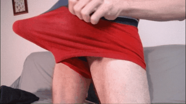 10005.gif